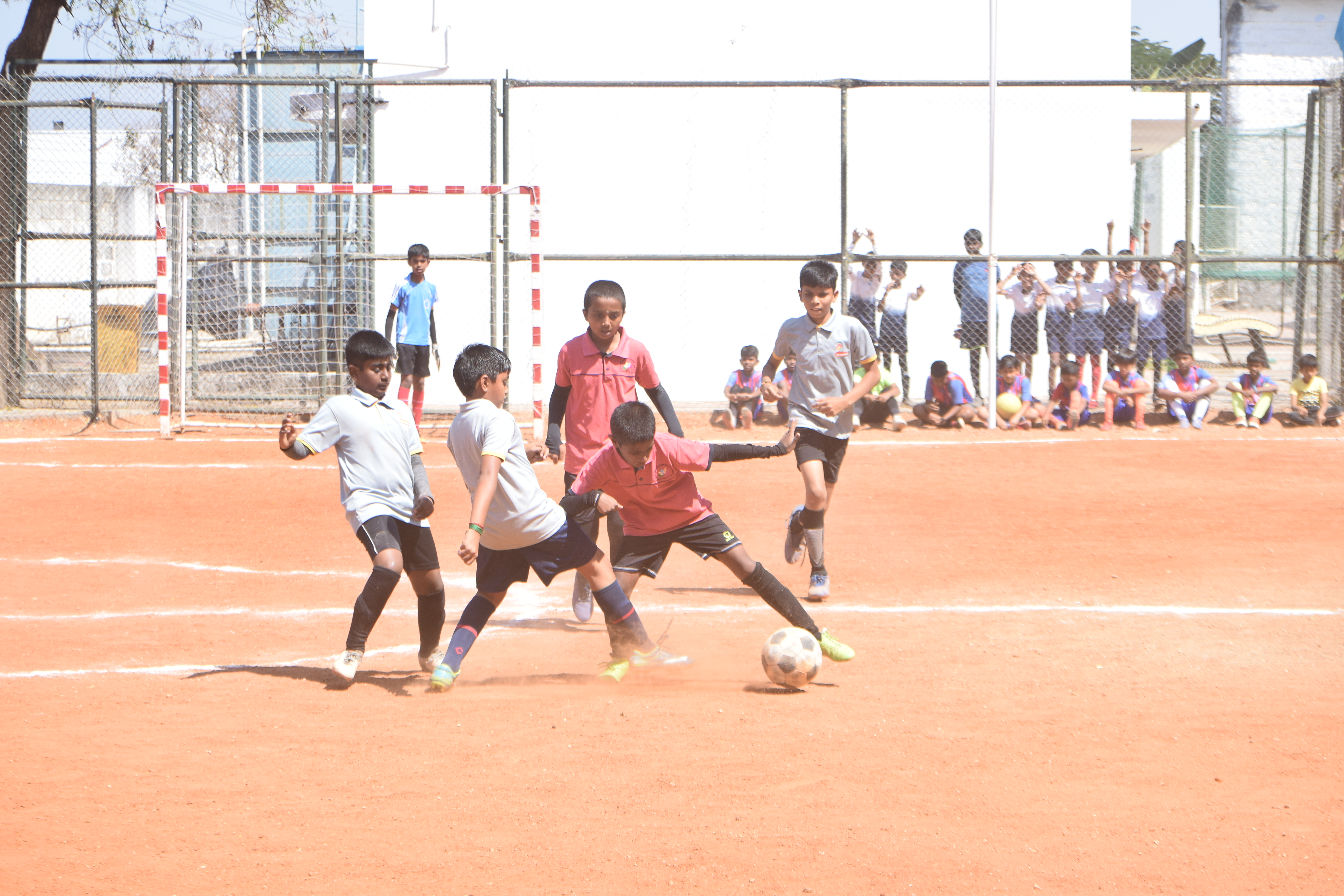 Sports & Clubs
